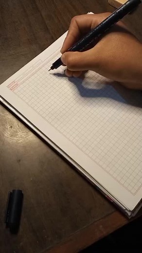 Marisol Vallejos Montaño on TikTok