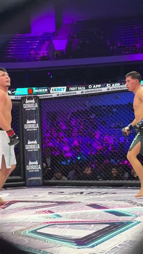Запустил в космос #мма #fighting #octagon
