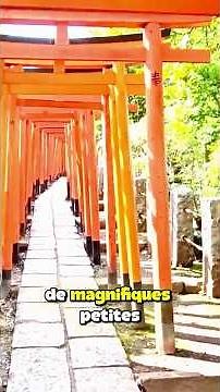 DISCOVER JAPAN'S 47 PREFECTURES: 13 SECRET PLACES IN TOKYO