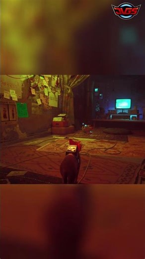 Curious Cat EXPLORES New Room, Discovers Computer! #shorts