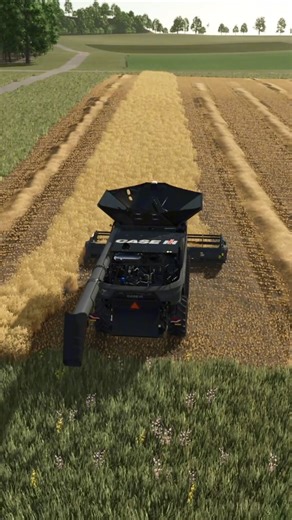 🌾Wheat Harvest - Farming Simulator 25 #agriculture #farming #farmingsimulator25 #harvest #Wheat | Mazarat Gaming
