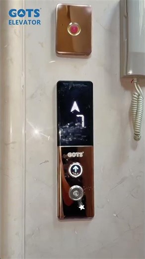 GOTS Elevator’s 1000kg 7-floor machine-room-less (MRL) elevator #elevators #elevatorcompany #lift