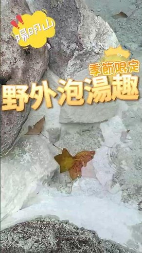 野溪溫泉泡湯趣！享受溫暖天然的泉水 #travel #citywalk #旅行 #butterfly