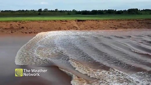 1.6M views · 10K reactions | Have you witnessed the Tidal Bore in New Brunswick?  This phenomenon occurs when the incoming tide from the Bay of Fundy forms a wave of water that travels upstream, against the current of the Petticodiac River. Video: Joe Warren, Moncton, New Brunswick | The Weather Network | Facebook
