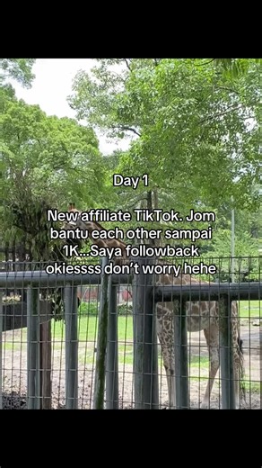 Newbie affiliate here. Nak jana pendapatan sikit guys...plisss support. #affiliatemarketing #affiliatetiktok #newbieaffiliate #fyp