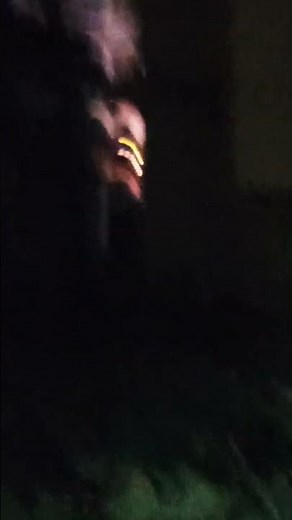 जंगल में बाघ ने किया हमला | Tiger attacked in the jungle | Tiger attack Girl In The Forest 🌲