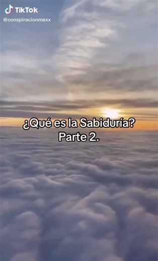 Camino al Despertar on TikTok