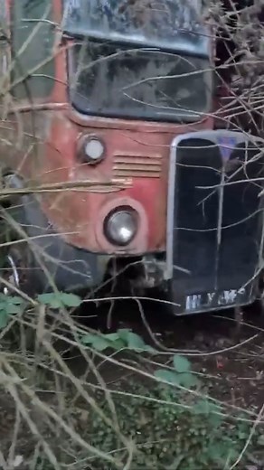 Abandoned Bus and Coaches Vintage Graveyard Hidden Classics! #abandoned #abandonedplaces | Abandoned Places Hidden Spaces