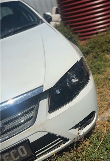 Nostalgic Memories of Ford Falcon Adventures