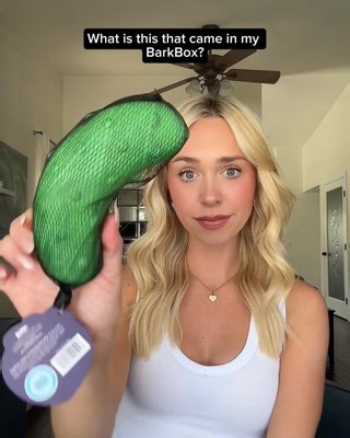 BARK After Dark - When Good Dogs Go Bad | BarkBox