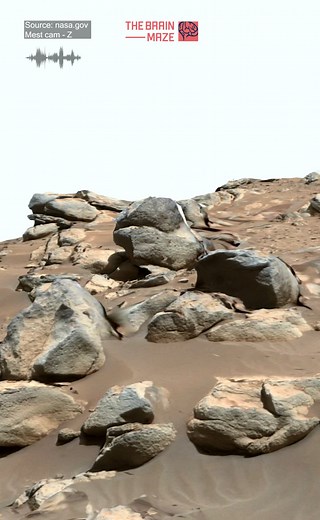 The Brain Maze on TikTok