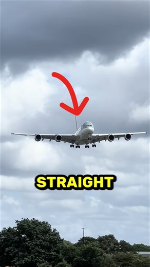 🫨 Why Plane Land Zig Zag