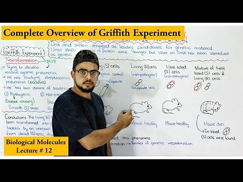 Griffith experiment or Transforming Principle | Transformation |