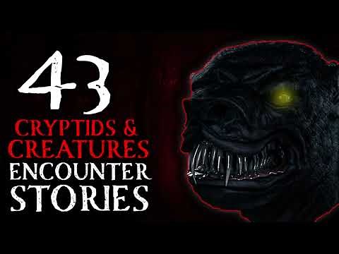 43 SCARY ENCOUNTER STORIES WITH CREATURES, CRYPTIDS AND MONSTERS