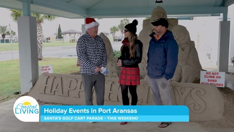 Port Aransas: Your holiday destination on the Texas coast