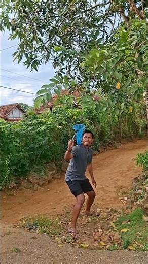 catching flying squirrels using a net #nature #viralvideos