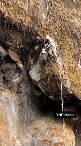 Amazing Adventure of Animals And Crocodile | Sonia Queen