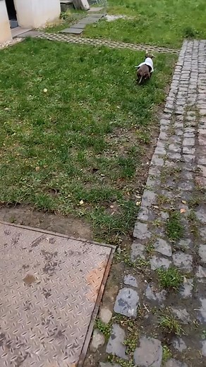 4.4K views · 25 reactions | István Mester on Reels | Facebook