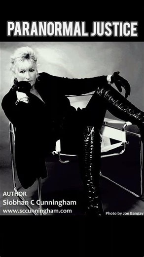 THE DEAL Q&A - Paranormal Justice by Crime Writer S C Cunningham