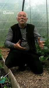 1M views · 19K reactions | Comment cultiver les tomates et les haricots ensemble au potager ? Hubert nous dit tout ! #rustica #hubertlejardinier #tomates #haricots #potager | Rustica | Facebook