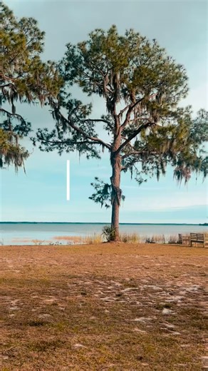 What a crazy, roller coaster of a year 2025 was… From being on the Joy FM and Channel 8 News, to launching a podcast, traveling twice to Greece, plus Italy and Scotland, incredible conferences, speaking engagements, and welcoming an amazing office manager to Finding Hope—there was so much to celebrate 🎉 And there were lows too—watching my child struggle, finances ebb and flow, personal conflicts, and challenges I never saw coming. No matter how crazy life gets, it reminds me that I’m not in con