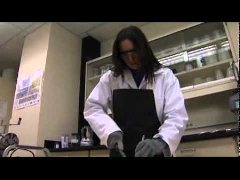 Proximate Analysis - Sample Preparation