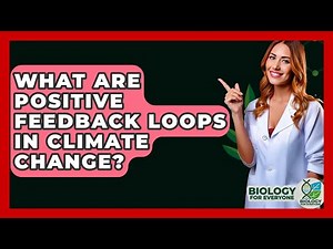 What Are Positive Feedback Loops In Climate Change? - Biology For Everyone