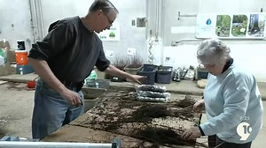 Kalkaska Conservation District Selling Tree Seedlings at Kalkaska County Road Commission