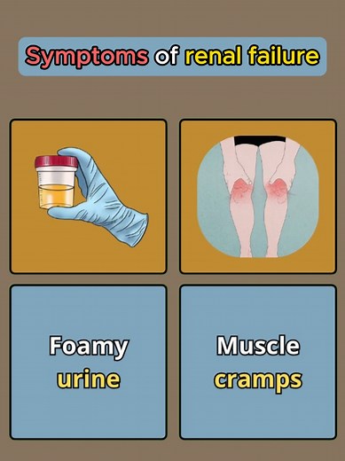 Understanding Symptoms of Kidney Failure