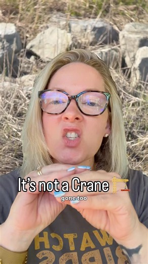 Cranes are different birds and herons are not cranes… #birds #birding