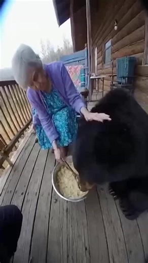 Grandma thinks Wild Bear is a Dog 🐻🐶 | Future Frame Studio