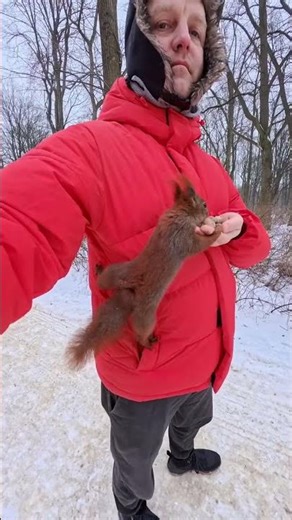 This squirrel prefers hazelnuts to walnuts