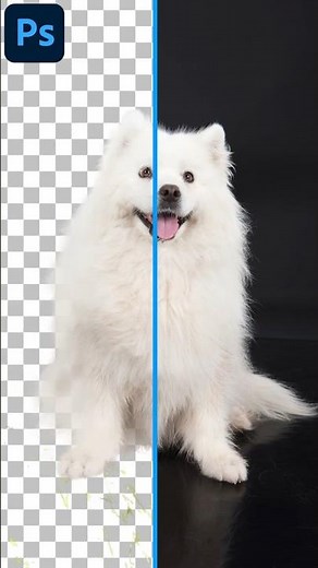 Remove Background from Image in Photoshop #photoshop