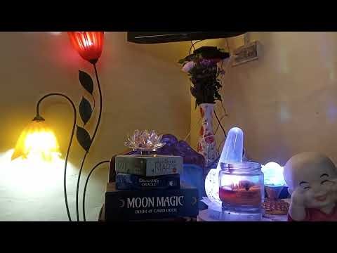 Love Reading For All zodiac sign A Golden Opportunity