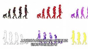 AI领域条件图像生成对抗网络CGAN算法剖析