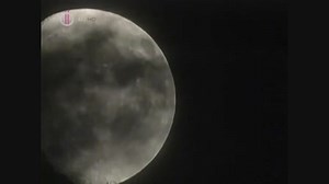 Zoboomafoo.S01.E09.480p.HDTV.x264.HUN-VHS.mp4