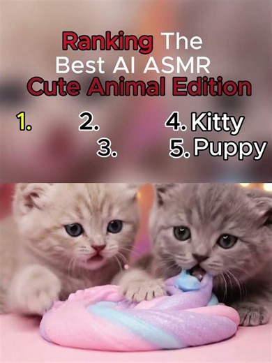 Ranking the Cutest Animals Playing with Slime