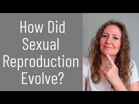 Evolution of Sexual Reproduction