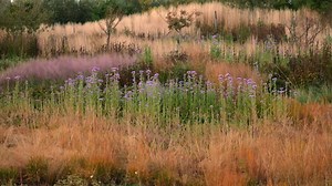 After completing a feature documentary on New York’s High Line, award-winning filmmaker Thomas Piper met the inspirational designer and plantsman, Piet Oudolf, and the idea for a new project was born. The documentary, Five Seasons: The Gardens of Piet Oudolf, immerses viewers in Oudolf’s work and takes us inside his creative process, from his beautifully abstract sketches, to theories on beauty, to the ecological implications of his ideas. http://www.arthousecrouchend.co.uk/programme/?programme_