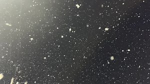 209K views · 8.7K reactions | Isn't slow motion snow mesmerizing! | North Texas Weather | Facebook