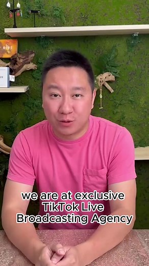 What can a TikTok live agency do for you? Join New Beginnings today to bring your TikTok live on to the next level. #tiktoklive #tiktokgrowth #creator #learntiktok #tiktoklivetips