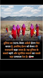 Saffron cultivation in the region dates back over 3,000 years. Ancient Persians used it not only as a spice but also in traditional medicine, perfumes, dyes, and religious rituals. It was an important trade item along the Silk Road, and Iranian merchants were responsible for introducing saffron cultivation to other regions like China, Greece, and Rome. Its high value and labor-intensive harvesting process have earned it the nickname "red gold". Global Production Iran is the world's leading produ