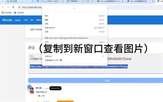 如何在 40code 获取图片的URL链接
