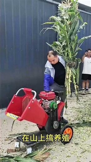 How to process 2 Tons of Napier Grass per hour #fcnfm #farmmachine
