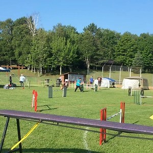 Arrowhead Agility Club - 25th Anniversary Show - Duluth, MN - First run of the day! | United States Dog Agility Association