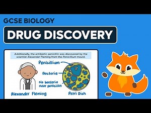 Drug Discovery - GCSE Biology