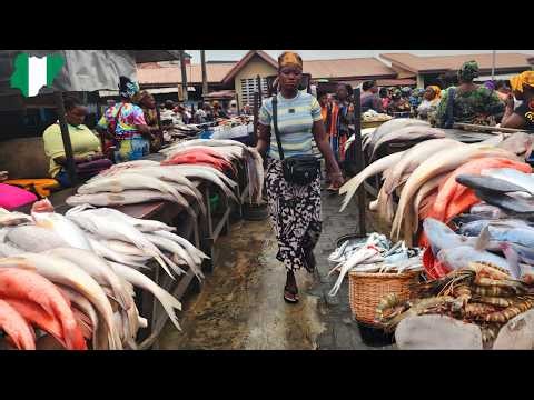 Exploring Makoko Seafood Market 2026, Lagos 🇳🇬. Fresh Fish, Crabs & Prawns