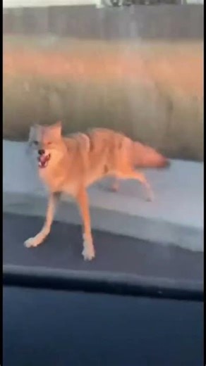 Deep Sea World Underground | Hidden Ocean Secrets Beneath the Earth