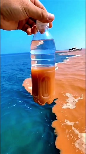 Understanding the Importance of the Quran in Islam