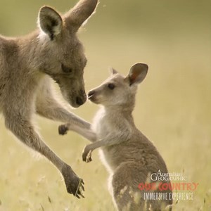 126 reactions · 18 shares |  Australia as you’ve never seen before....